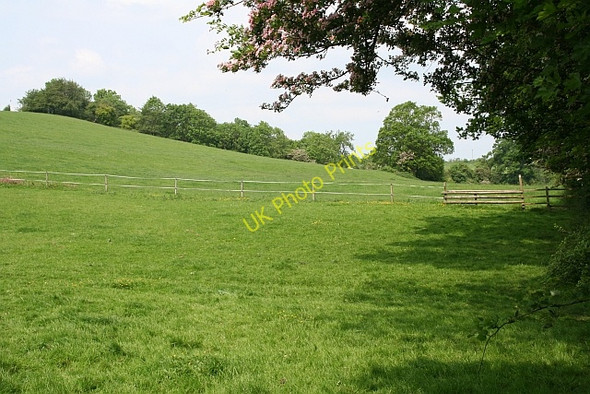Photo 6"x4" Footpath from Birts Street Birts Street c2008
