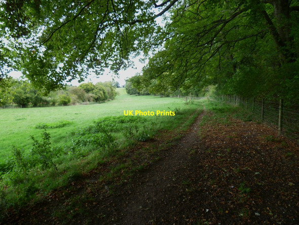 Photo 6"x4" Attractive footpath in field close to the River Test near Freefolk Freefolk c2011