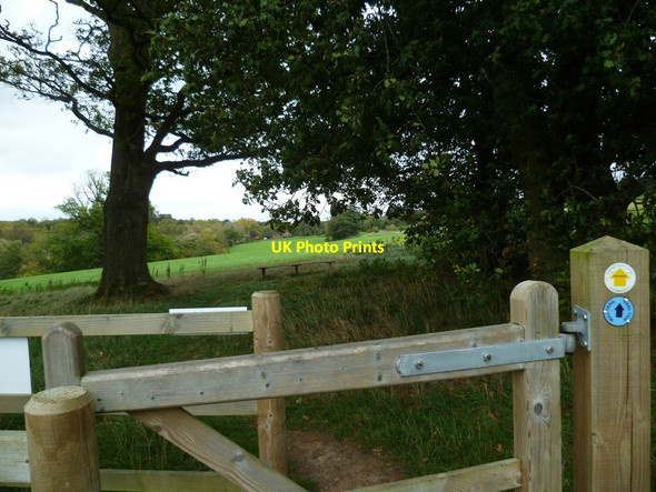 Photo 6"x4" Looking towards Manor Farm at Freefolk from gate on the Mill Trail Freefolk c2011