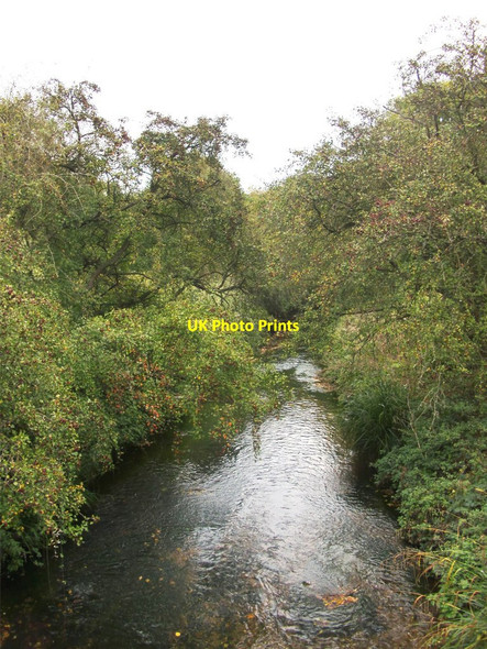 Photo 6"x4" Beverley Brook in October Kingston Vale c2011