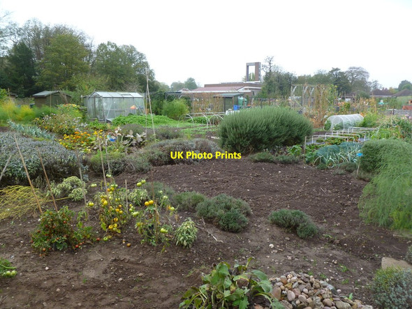 Photo 6"x4" Tettenhall, allotments Compton\/SO8898 c2011