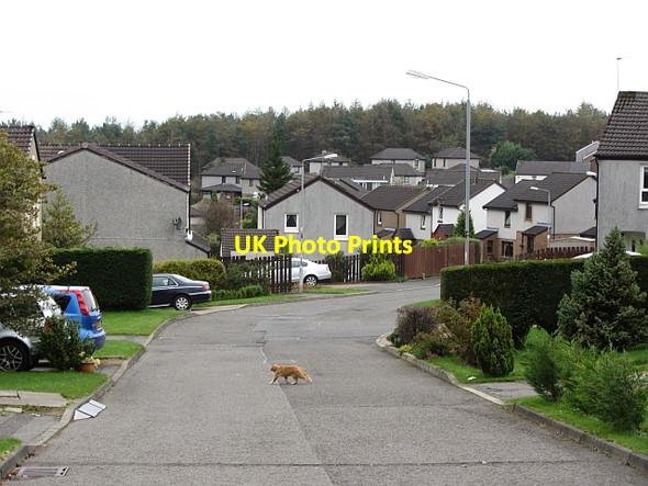 Photo 6"x4" Birkenburn Road Cumbernauld c2011