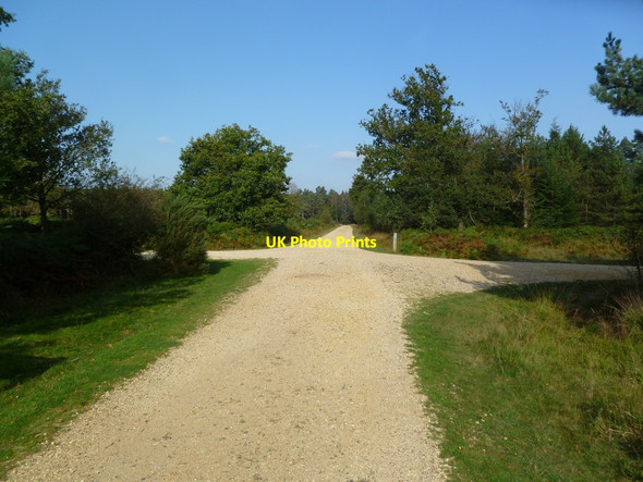 Photo 6"x4" Poundhill Inclosure, track junction North Weirs c2011