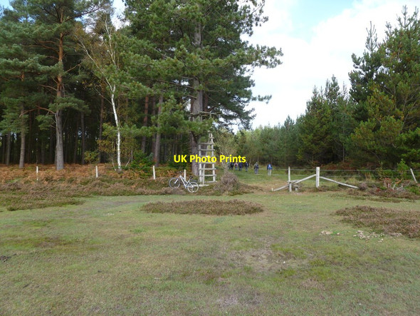 Photo 6"x4" Poundhill Heath, high seat North Weirs c2011