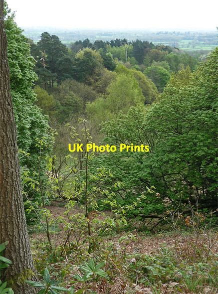 Photo 6"x4" View from the Terrace, Dorking (1) Dorking c2011