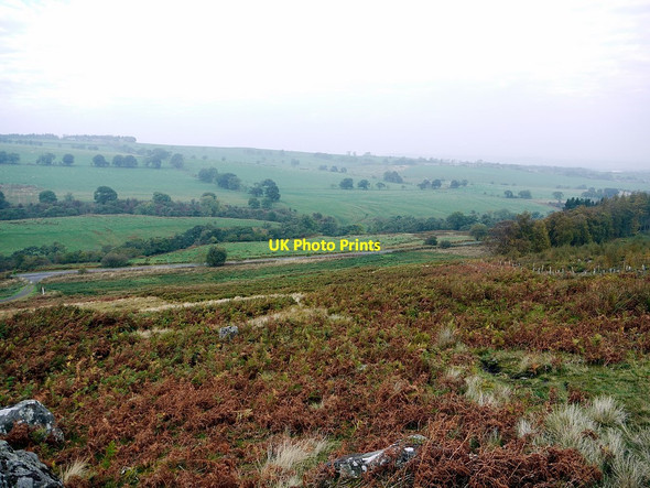 Photo 6"x4" Hillside east of Midrig Bridge Edlingham c2011