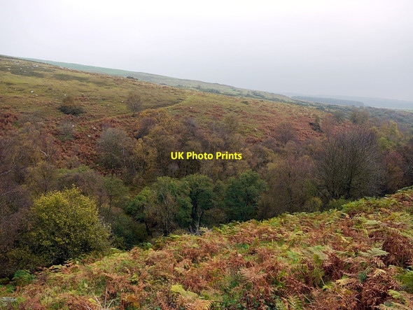 Photo 6"x4" Millstone Cleugh Edlingham c2011