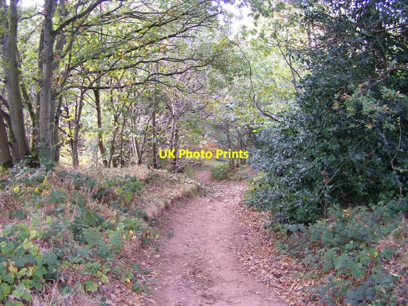 Photo 6"x4" Clent Footpath Clent c2011