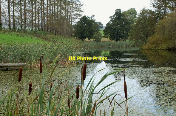 Photo 6"x4" Pond by the River Eamont Pooley Bridge c2011