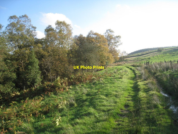 Photo 6"x4" Bridleway from Low Hamer Rosedale Abbey c2011