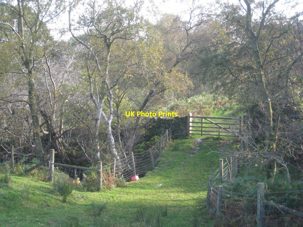 Photo 6"x4" Bridleway from Low Hamer Rosedale Abbey c2011