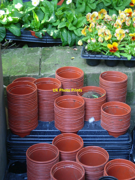 Photo 6"x4" Pots at St Dunstan's London c2011
