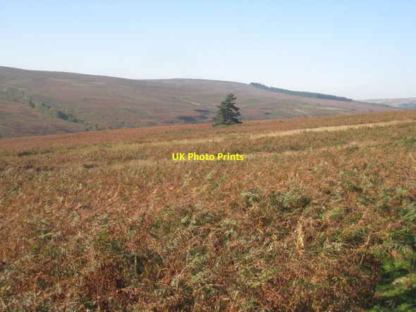 Photo 6"x4" View from Sloethorn Park towards Baysdale Westerdale\/NZ6605 c2011