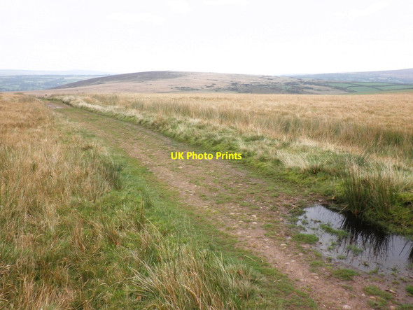 Photo 6"x4" Track on Worth Hill North Batsom c2011