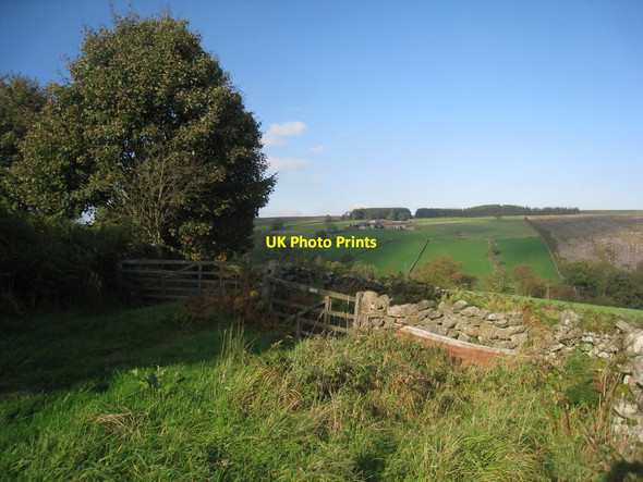 Photo 6"x4" View towards Lower Row Mires Rosedale Abbey c2011