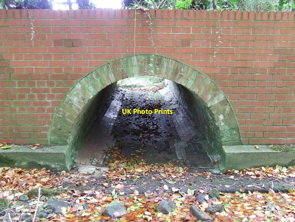 Photo 6"x4" Dried Up Buxhall c2011