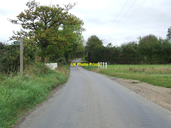 Photo 6"x4" Country Road Bird Street c2011