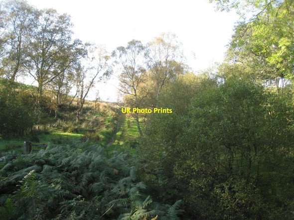 Photo 6"x4" The bridleway to Low Hamer Rosedale Abbey c2011