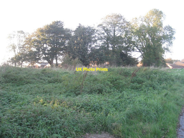 Photo 6"x4" Aldro Farm Acklam\/SE7861 c2011