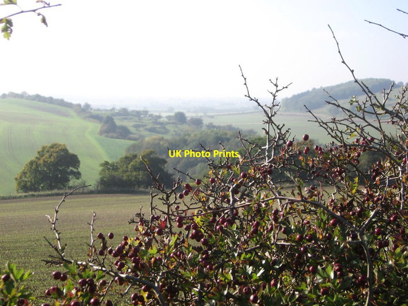 Photo 6"x4" Howardian Hills near Bulmer Bulmer\/SE6967 c2010