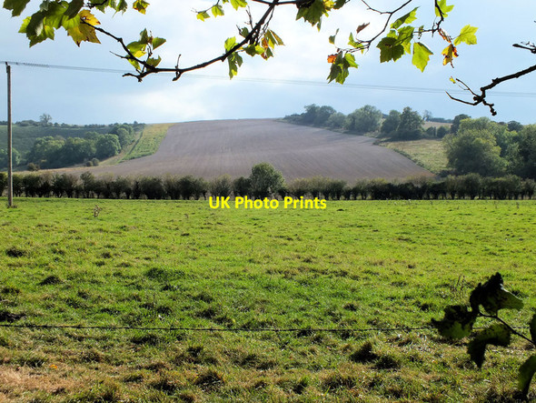 Photo 6"x4" Pasture and arable Bishopstone\/SU0725 c2011