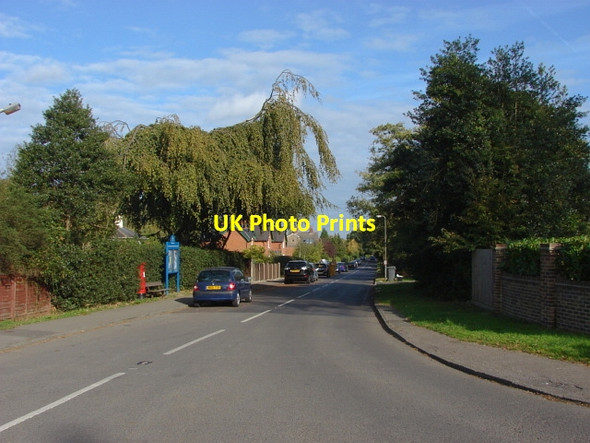 Photo 6"x4" Almners Road, Lyne Thorpe\/TQ0168 c2011