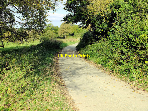 Photo 6"x4" Mill Lane Bishopstone\/SU0725 c2011
