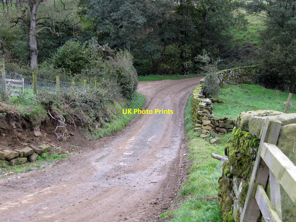 Photo 6"x4" End of the road Thorgill c2011