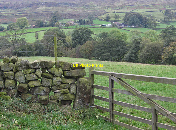 Photo 6"x4" View to Hollin Bush Farm and Moorlands Farm Thorgill c2011