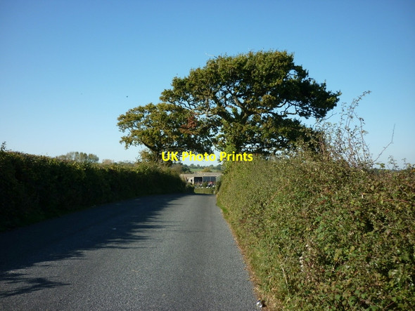 Photo 6"x4" Green Lane towards Greenlane farm Ashey c2011