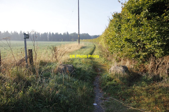 Photo 6"x4" Bridleway to East Hendred Rowstock c2011