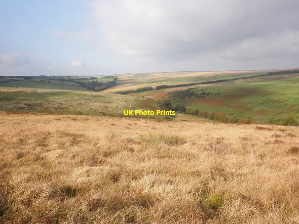Photo 6"x4" Upper Dane's Brook Valley Champson c2011