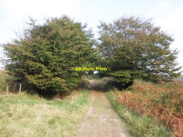 Photo 6"x4" Bridleway, to Porchester's Post North Batsom c2011