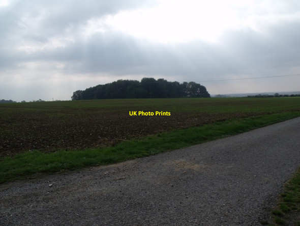Photo 6"x4" New Corner Moor Plantation, near Edlington Edlington c2011