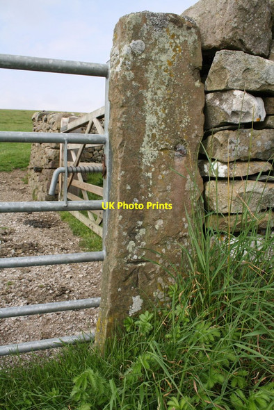 Photo 6"x4" Benchmark on gatepost near radio station, Westgate Lane Thornton in Lonsdale c2011