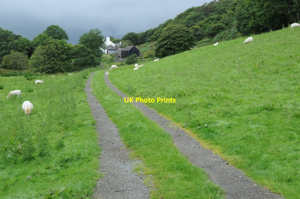 Photo 6"x4" Cae Glas Farm, Croesor Croesor c2011