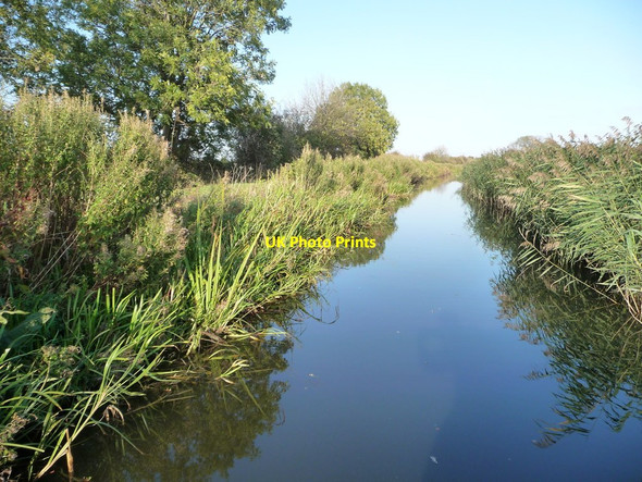 Photo 6"x4" Chesterfield Canal, between bridges 79 and 80 Misterton\/SK7694 c2011