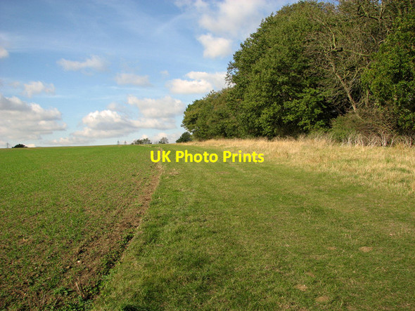 Photo 6"x4" Woodland - field boundary, Hasketon Burgh c2011
