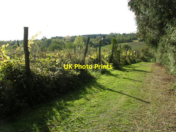 Photo 6"x4" Vineyard above Otley Bottom Otley\/TM2055 c2011