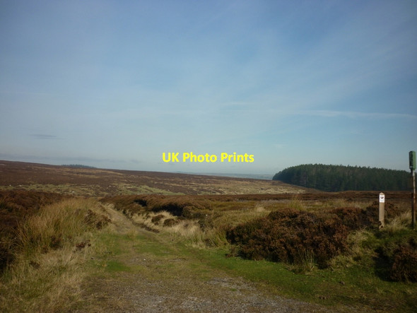 Photo 6"x4" A bridleway to Wintergill Street\/NZ7304 c2011