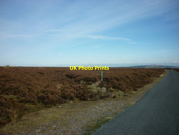Photo 6"x4" A path leading towards Bank House Farm Glaisdale\/NZ7705 c2011