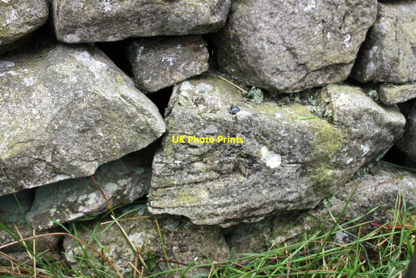 Photo 6"x4" Benchmark on wall stone at Birk Rigg Back Gill Head c2011