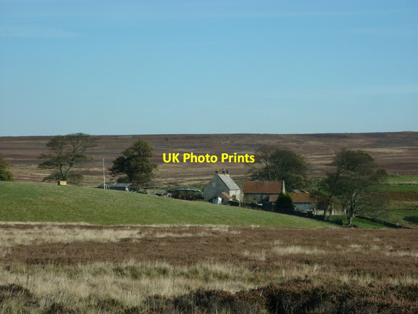 Photo 6"x4" Clitherbeck Farm north of Danby Ainthorpe c2011