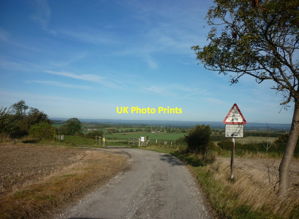 Photo 6"x4" A cattle grid on Luddith Road North Grimston c2011