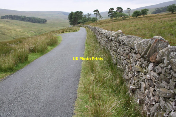 Photo 6"x4" Road by Cluntering Gill head Chapel-le-Dale c2011