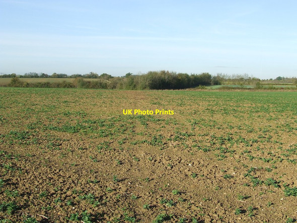 Photo 6"x4" Footpath And Field Clare\/TL7645 c2011