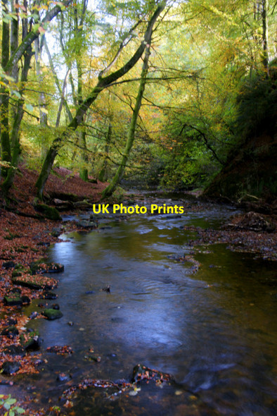 Photo 6"x4" Burn of Alyth in Den o' Alyth Alyth c2011