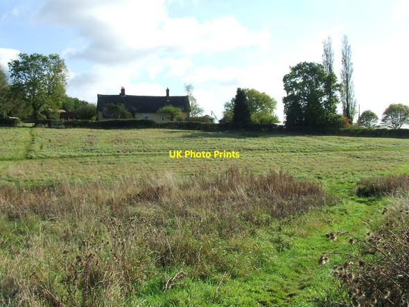 Photo 6"x4" Hundon Thicks Farm Babel Green c2011