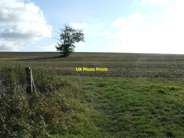 Photo 6"x4" Into The Field Babel Green c2011