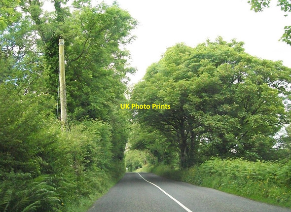 Photo 6"x4" The R164 south of Carnacally Cross Roads Kilmainhamwood c2011